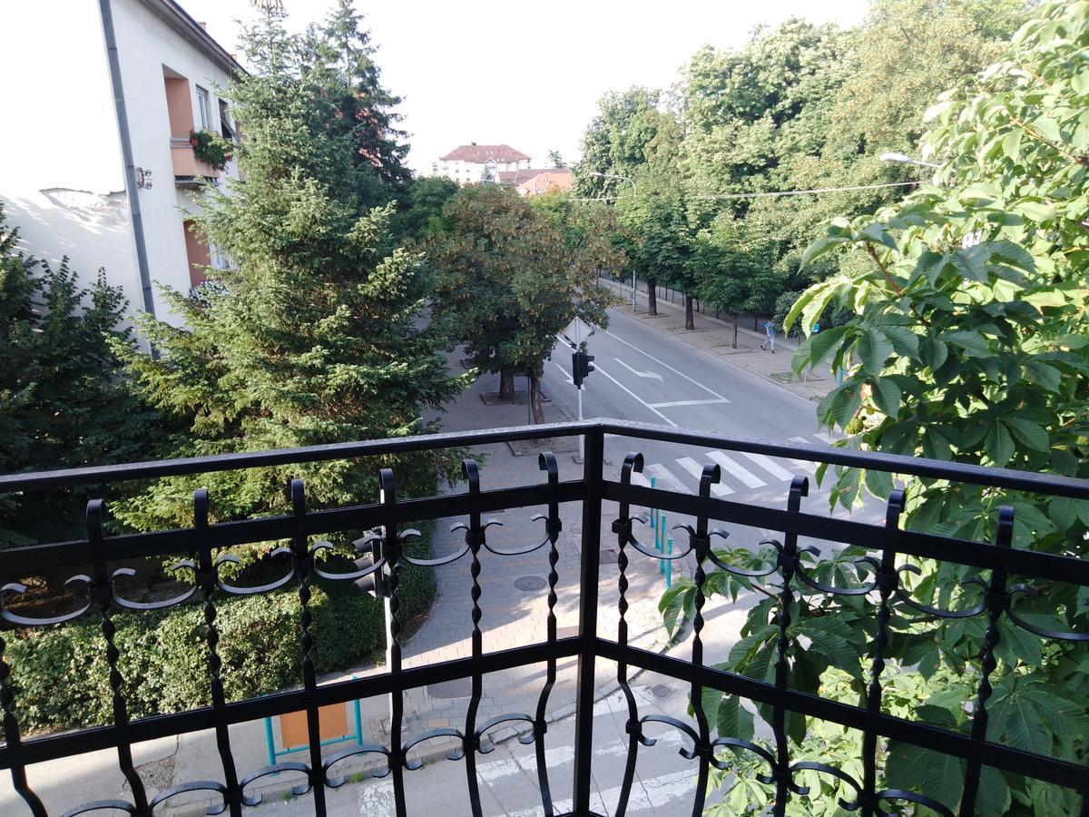 Veliki Park Villa Sabac Luaran gambar