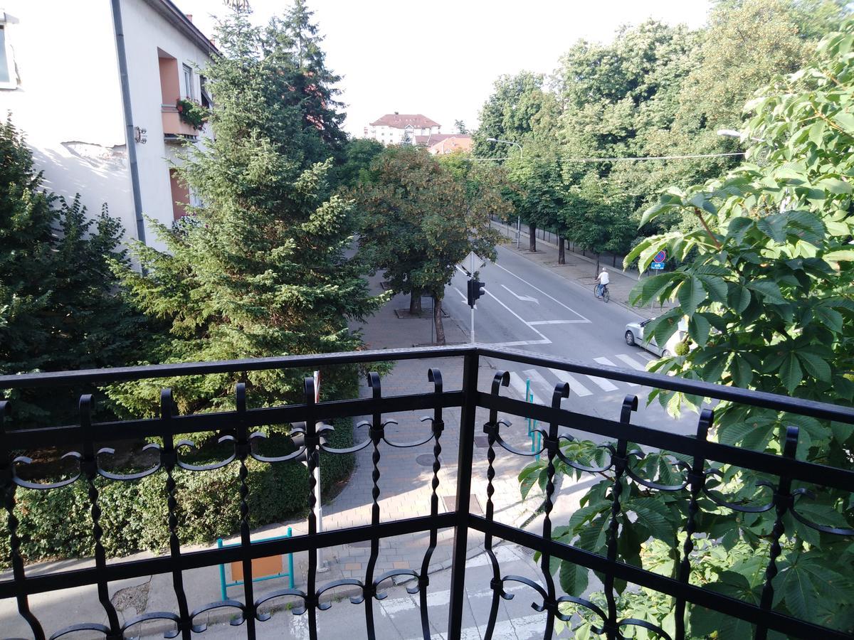 Veliki Park Villa Sabac Luaran gambar
