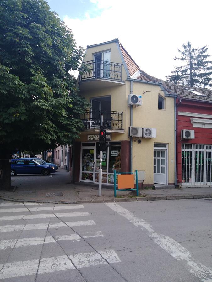 Veliki Park Villa Sabac Luaran gambar