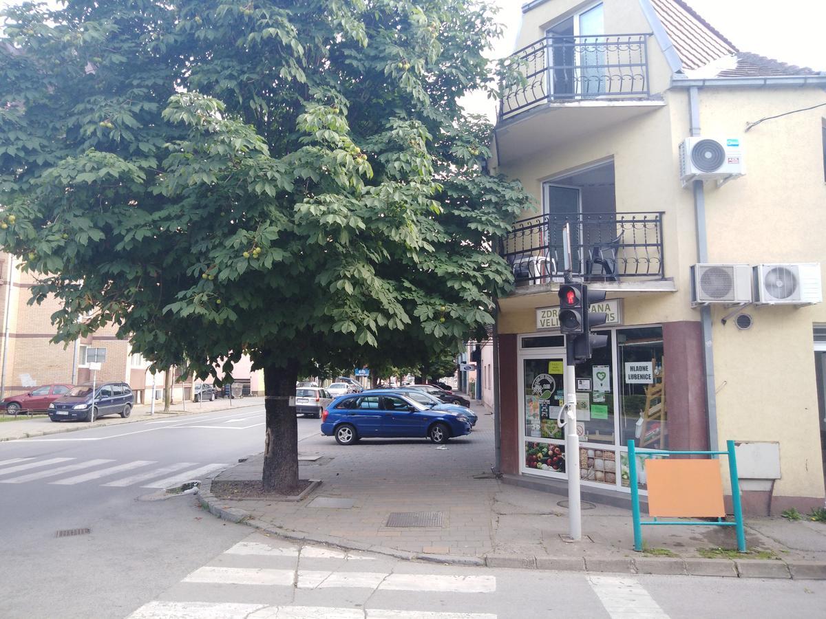 Veliki Park Villa Sabac Luaran gambar